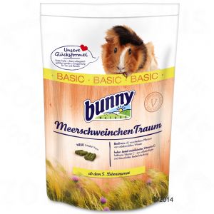 Bunny: Guineapig Dream Basic